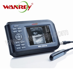 Vet Ultrasound Scanner WR-VD010